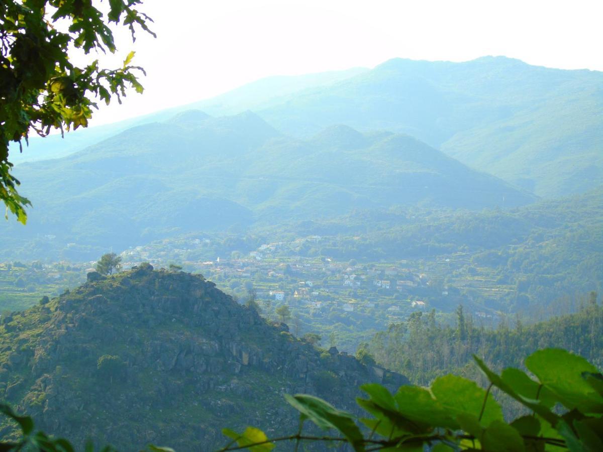 Casa Da Carvalheira Villa Parada  Kültér fotó