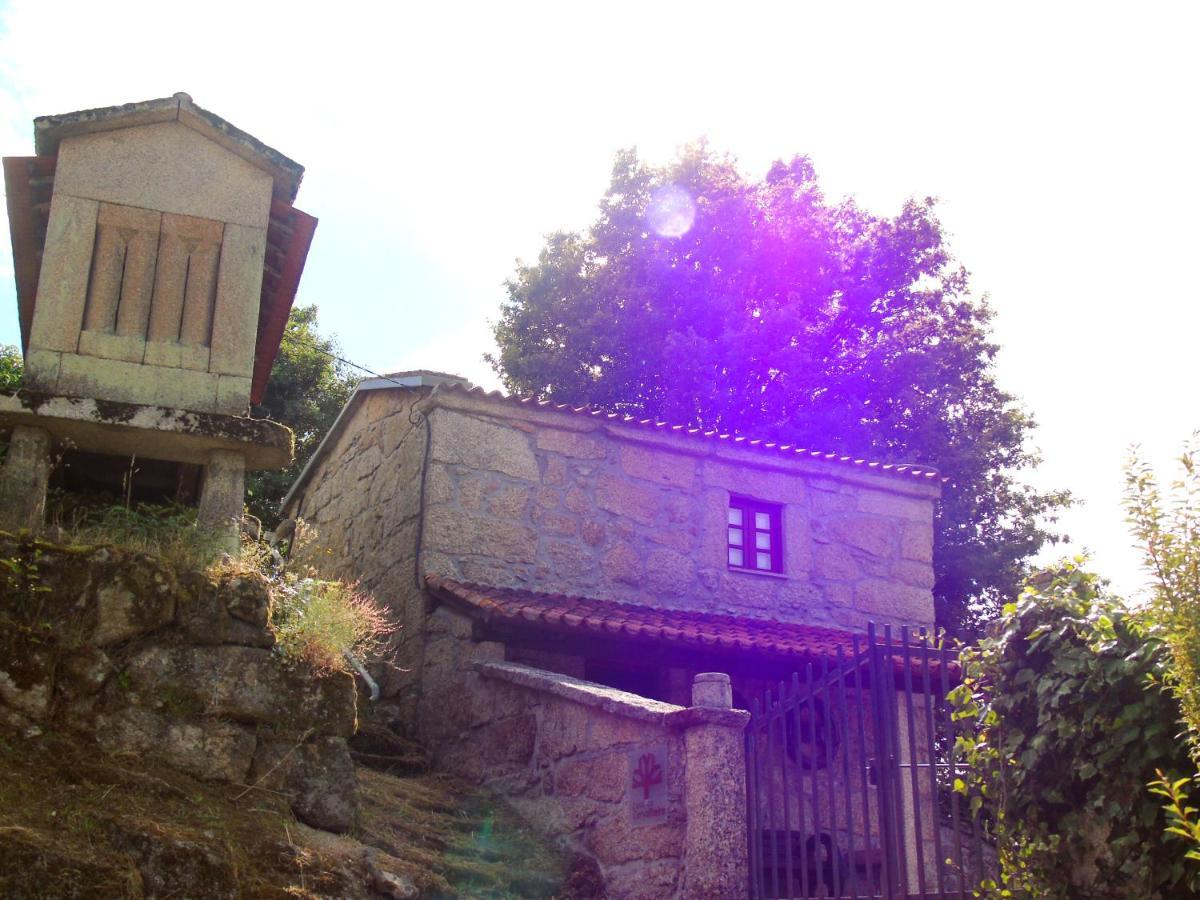 Casa Da Carvalheira Villa Parada  Kültér fotó
